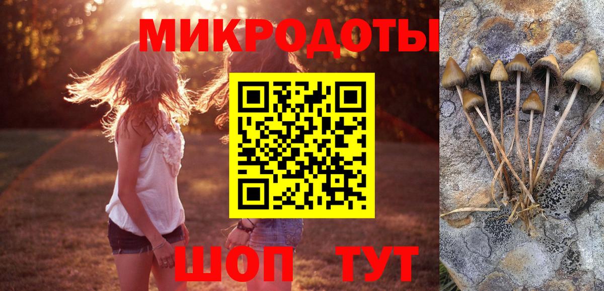 Галлюциногенные грибы Magic Shrooms  как найти наркотики  Галлюциногенные грибы Magic Shrooms  Краснотурьинск  Вход с VPN 