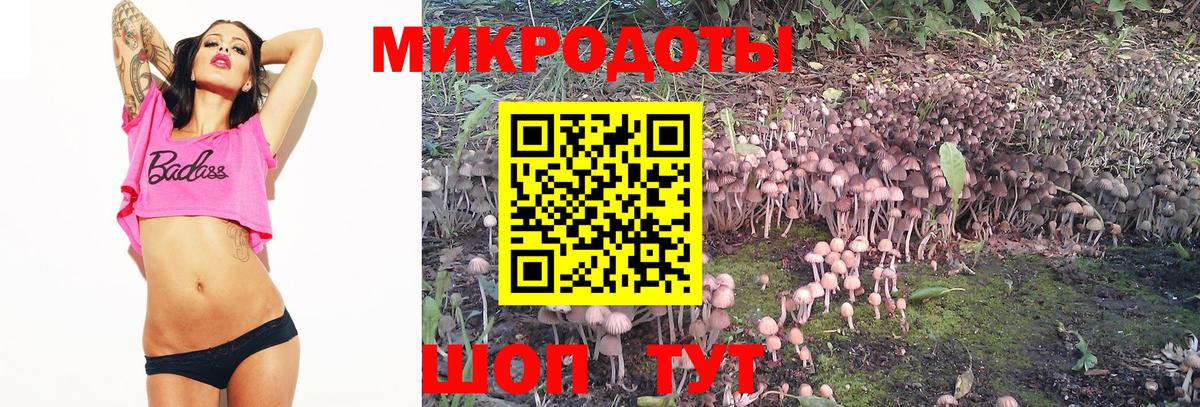 Псилоцибиновые грибы Cubensis Краснотурьинск